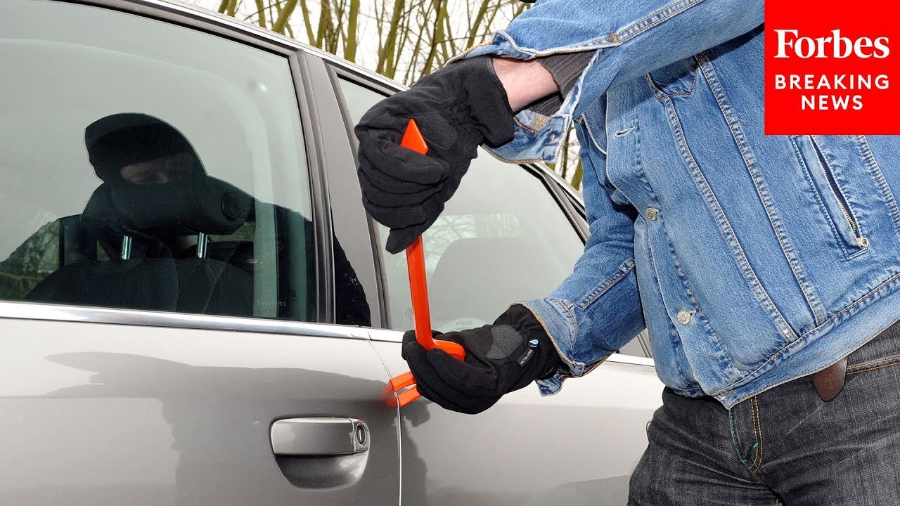 Senate Witness Warns That There Is Currently 'A Lot Of Profit To Be Made' For Carjacking Criminals