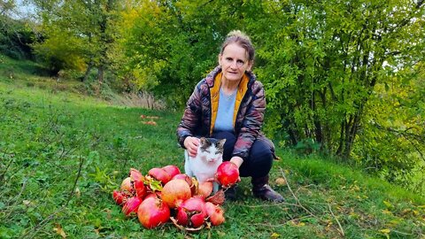 Lokum, Pudding and Fruit Compote with Pomegranate. Harvesting Fresh Pomegranate from our Land.