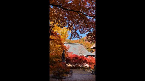 Autum in shinano omachi japan