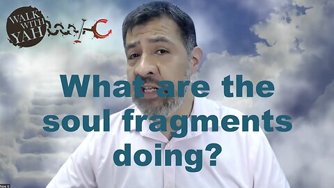 What are the soul fragments doing? / WWY Q&A 41