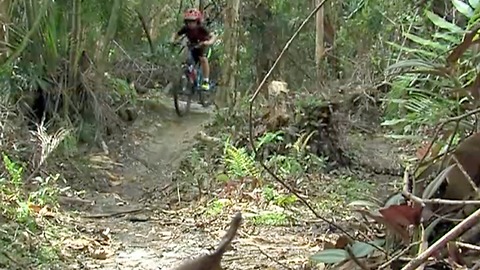 Cyclists at Pinehurst Mountain Bike Trail in Greenacres upset after tree removal