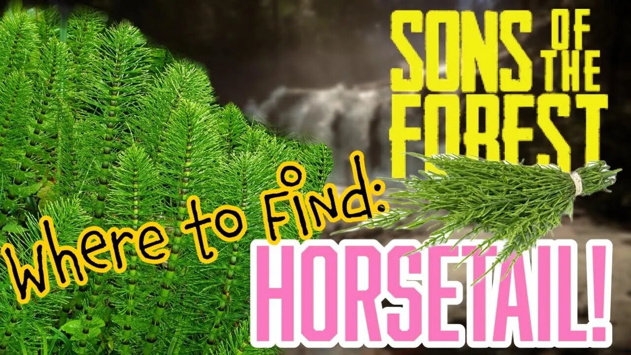 Sons of the Forest Where to Find Horse Tail