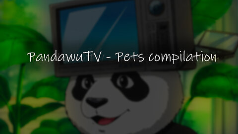 Cuties Animals Compilation / PandawuTV #005