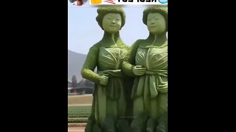 talent