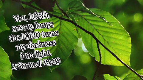 🕊 The True Light 🕊