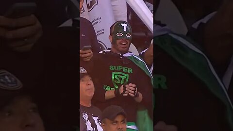 🔥🤣CONHEÇA NOVO SUPER HERÓI DO BOTAFOGO: O SUPER TAPETINHO! 🤪🤣 #botafogo #brasileirão #segueolíder