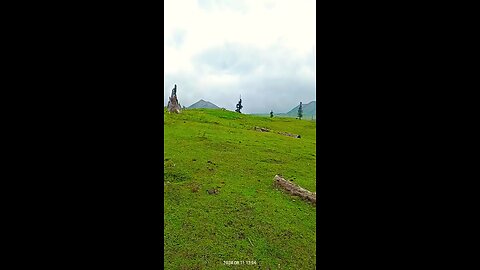 hakwas meadows