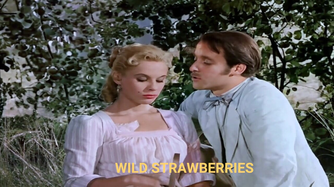 Wild Strawberries Colorized