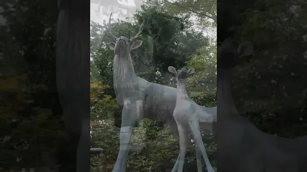 The Japan that no one knows Five clans of fallen warriors, coming #japan #japanese #tokyo #shorts