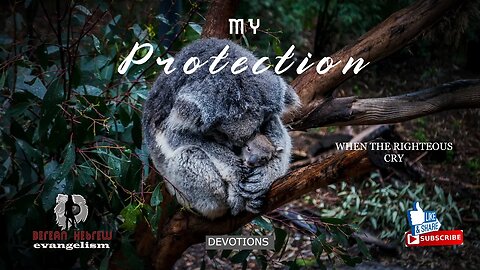 MY PROTECTION | WHEN THE RIGHTEOUS CRY