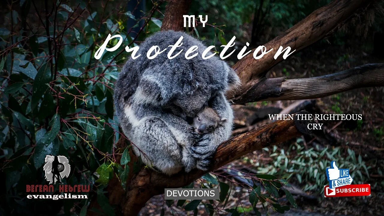 MY PROTECTION | WHEN THE RIGHTEOUS CRY