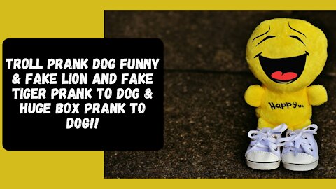 Troll Prank Dog Funny & fake Lion and Fake Tiger Prank To dog & Huge Box Prank to dog