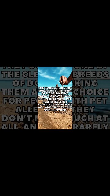 Incredible Random Facts That Will Expand Your Mind! [2023] #shorts #facts #viralshorts #fyp #life