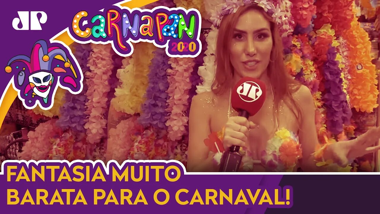 UAU! FANTASIA PARA O CARNAVAL COM APENAS R$ 50 | CARNAPAN