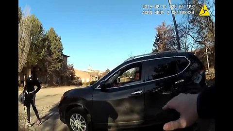 New video shows encounter between murder suspect Dariaz Higgins and Michigan police officer