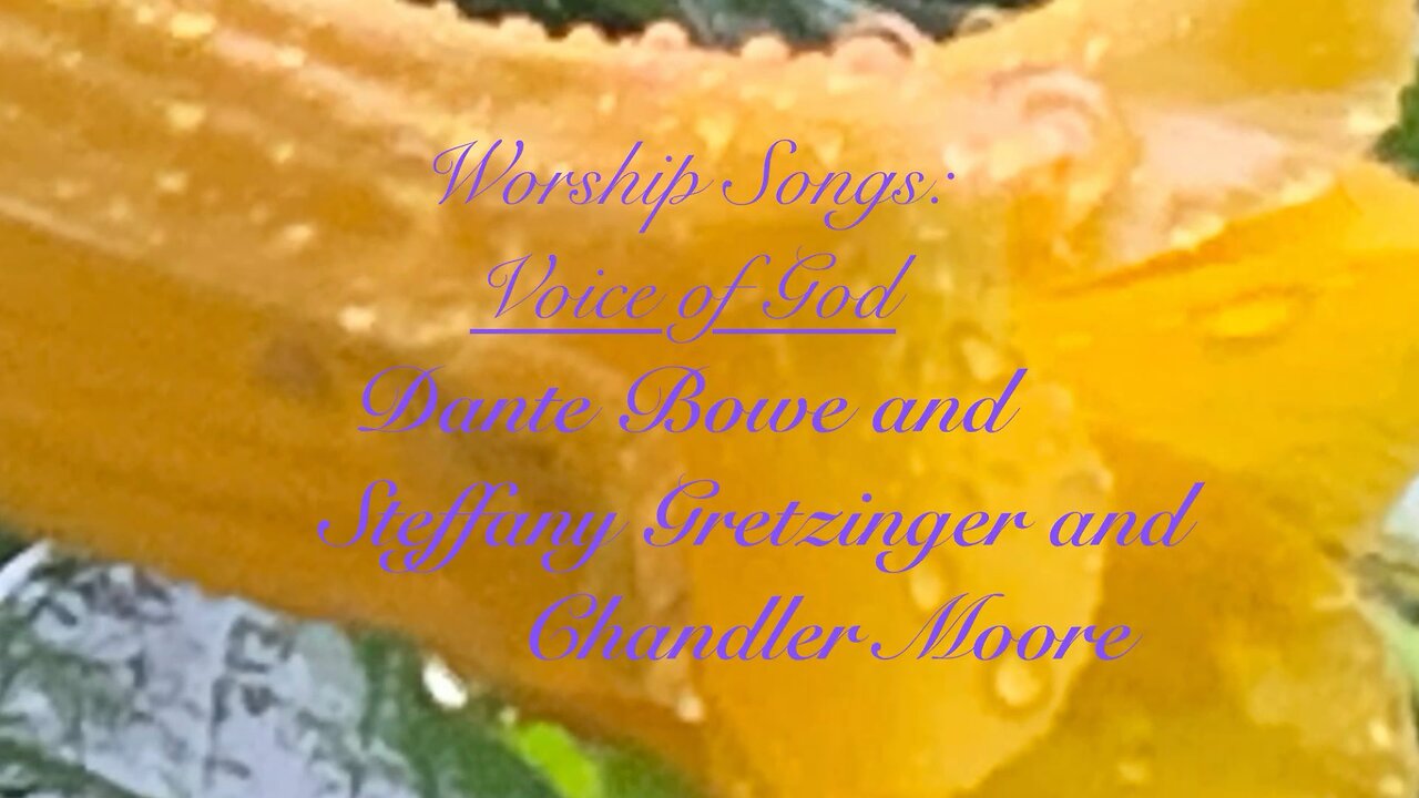 Signs of Praise Ministry, Inc.