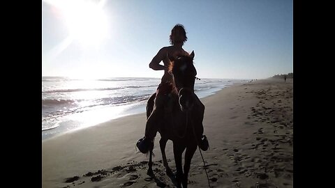 In love with the sea