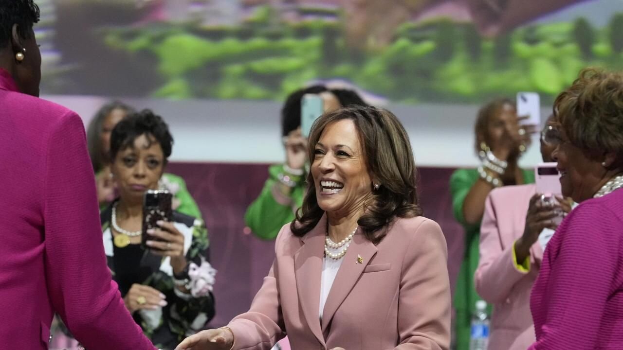 DEI Kamala for the win?