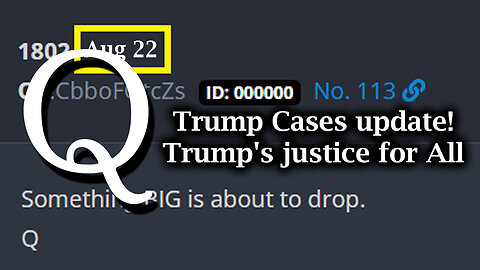 Q Drop - Trump Cases Update - Trump's Justice For All - 8/24/24..