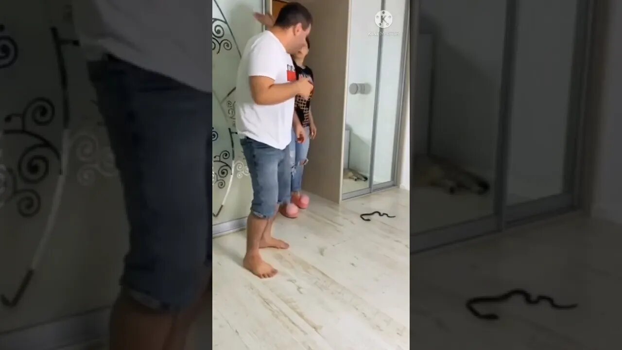 Funniest Fun Amazing videos must Entertainment comedy 2022🤣Try To Not Laugh Episode 3