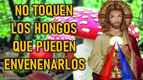 NO TOQUEN LOS HONGOS QUE PUEDEN ENVENENARLOS - MENSAJE DE JESÚS A CATALINA RIVAS