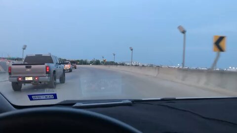 Kitten Rescued From the highway in San Antonio, TX