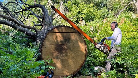 Extremely Dangerous Chainsaw Idiots