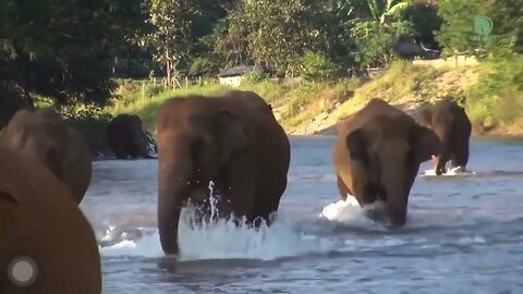 When the person who took care of them came four months later, they😍