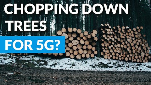 Chopping Down Trees for 5G? Weaker Signal Than 4G/3G? Military 5G