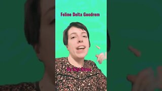 Feline Delta Goodrem Cover By Gigi Gates