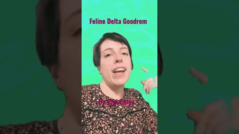 Feline Delta Goodrem Cover By Gigi Gates