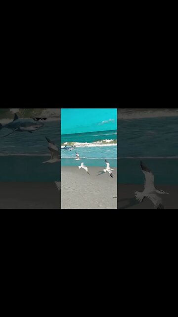 Sand Sharks Attack! #shark #beach #shorts