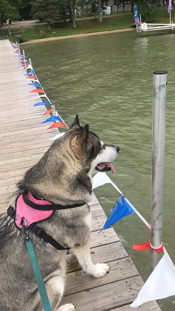 Friday August 30, To the wicked you show yourself hostile.