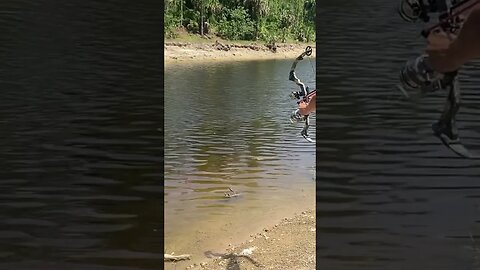 Bow fishing along the canal