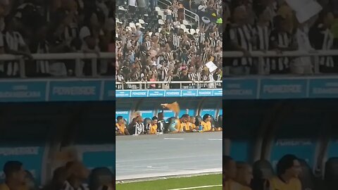 🔥😱OLHA SÓ O BANCO DO BOTAFOGO APÓS O GOL DO TIQUINHO SOARES. #botafogo #sudamericana #segueolíder