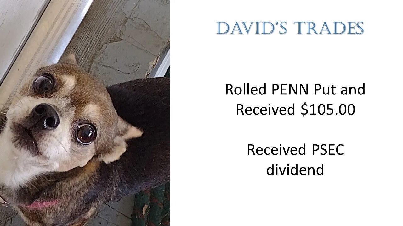 Continuing Ladder Strategy on PENN Put. Received $105.00 PSEC Dividend