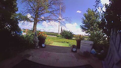 Tuesday's a Good Day to Scream!