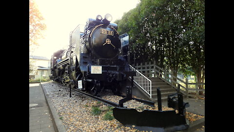 D51-118 at the Children's Park