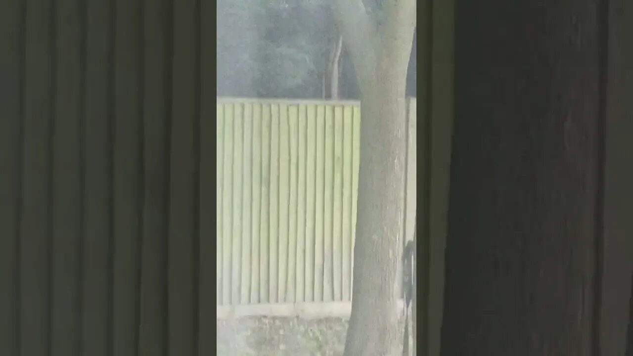 living room view enjoy 😉 and subscribe to my channel 😉 thanks