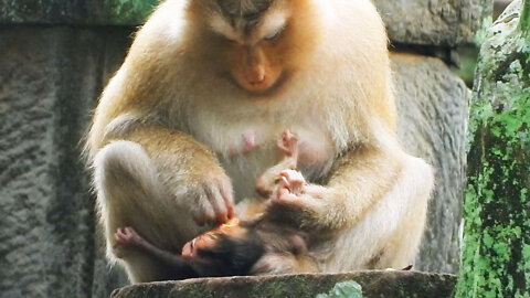 Rose Doing Massage for Cutie Daughter, Rainbow