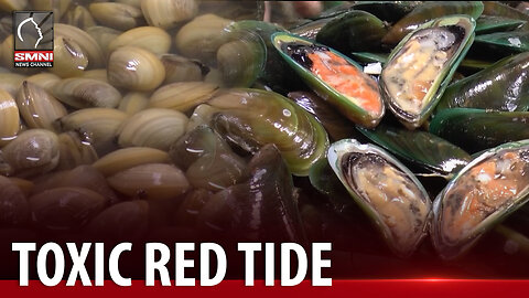 Shellfish at alamang mula sa 6 na lugar sa bansa, hindi ligtas kainin ayon sa DOH
