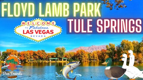 Enjoying a nice day at Floyd Lamb Park at Tule Springs Lake In Las Vegas Nevada