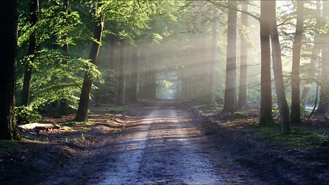 Missouri's Zombie Road