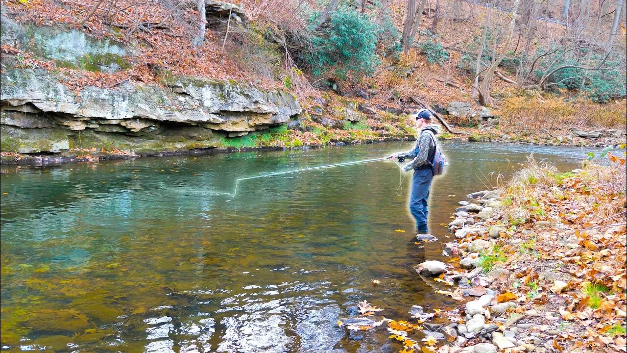Streamer Fishing for Wild Brown Trout in an AMAZING River!