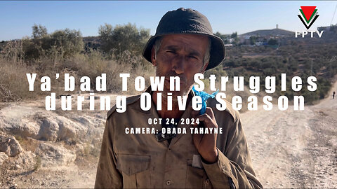 Ya'bad Struggles with Zionist Obstacles During Olive Season