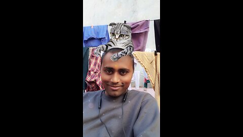 Fun with cat 🐈 😻 🐈‍⬛️ 😄