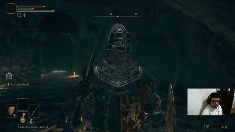 Elden Ring: The First Play (4)