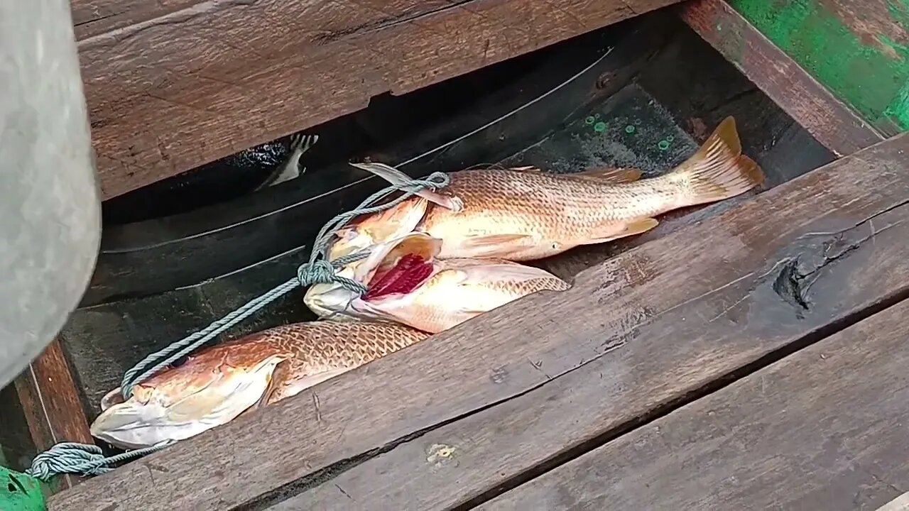 Hasil Tangkapan Nelayan