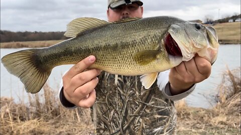 EPIC Pre Spawn Bite! (What Dream’s Are Made Of!)