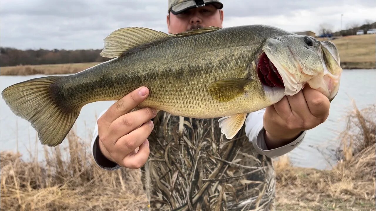 EPIC Pre Spawn Bite! (What Dream’s Are Made Of!)